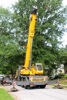 Tree removal 20-Aug-15
