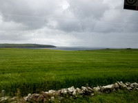 11, Orkney Islands (Kirkwall), Scotland