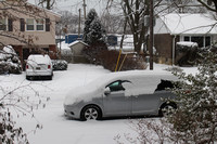 Snow 17 Feb 2014